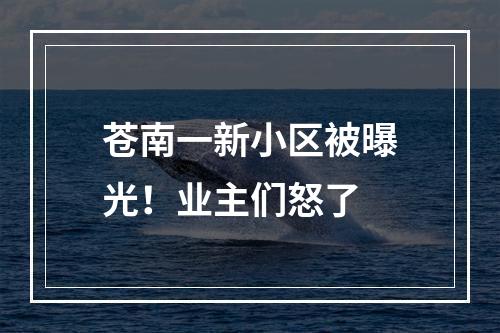 苍南一新小区被曝光！业主们怒了