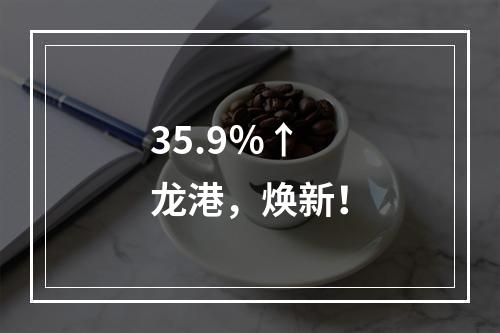 35.9％↑ 龙港，焕新！
