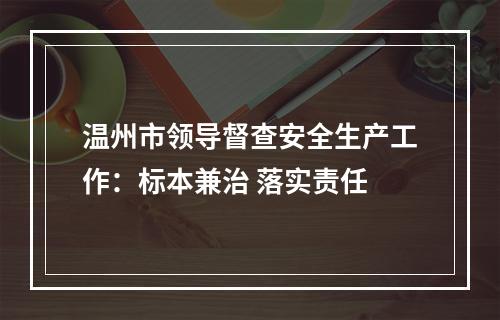 温州市领导督查安全生产工作：标本兼治 落实责任