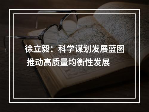 徐立毅：科学谋划发展蓝图 推动高质量均衡性发展