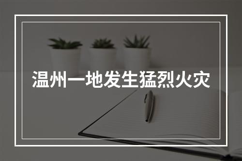 温州一地发生猛烈火灾