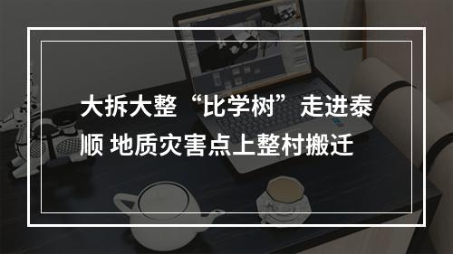 大拆大整“比学树”走进泰顺 地质灾害点上整村搬迁