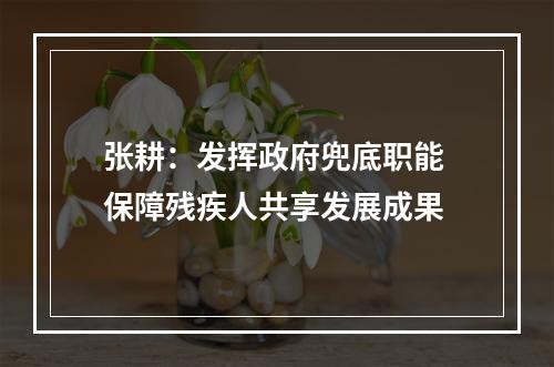 张耕：发挥政府兜底职能 保障残疾人共享发展成果
