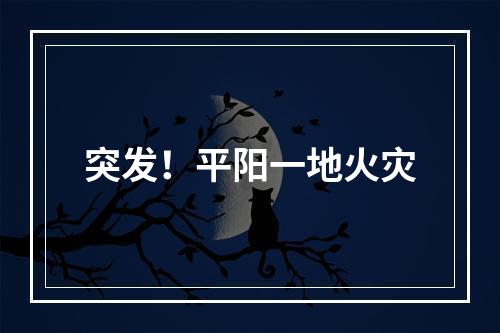 突发！平阳一地火灾