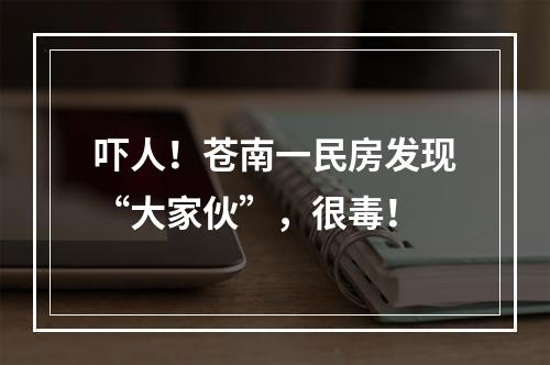 吓人！苍南一民房发现“大家伙”，很毒！
