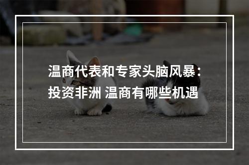温商代表和专家头脑风暴：投资非洲 温商有哪些机遇