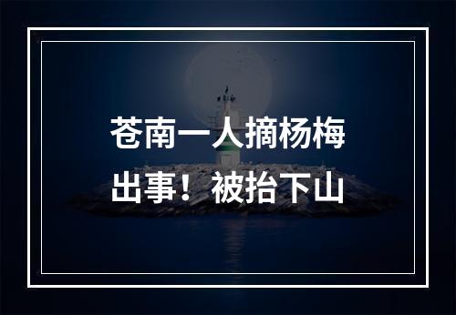 苍南一人摘杨梅出事！被抬下山