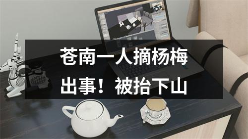 苍南一人摘杨梅出事！被抬下山