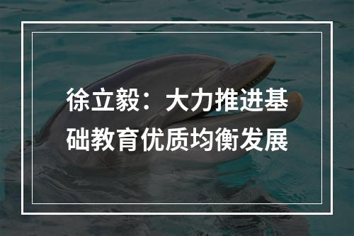 徐立毅：大力推进基础教育优质均衡发展