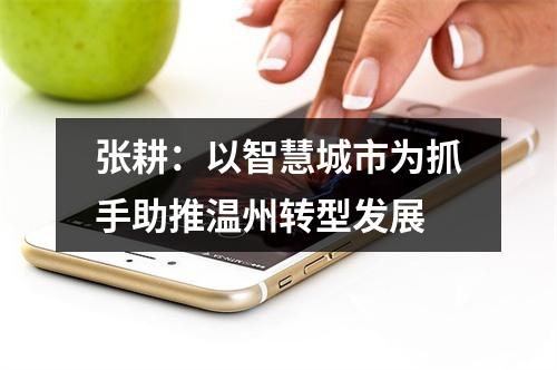 张耕：以智慧城市为抓手助推温州转型发展