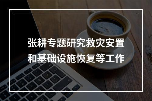 张耕专题研究救灾安置和基础设施恢复等工作