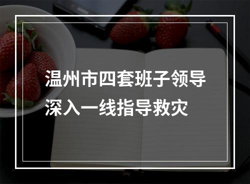 温州市四套班子领导深入一线指导救灾