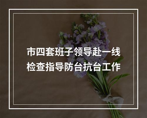 市四套班子领导赴一线检查指导防台抗台工作