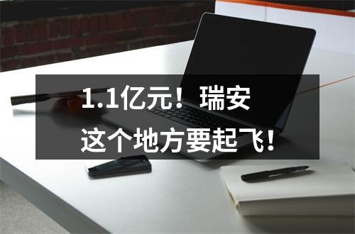 1.1亿元！瑞安这个地方要起飞！