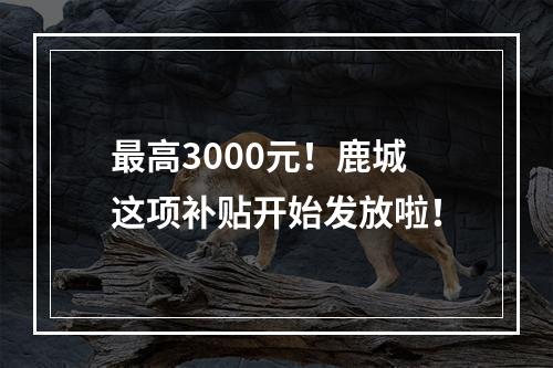 最高3000元！鹿城这项补贴开始发放啦！