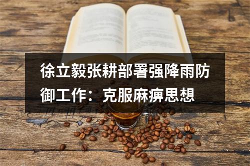 徐立毅张耕部署强降雨防御工作：克服麻痹思想