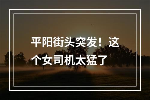 平阳街头突发！这个女司机太猛了