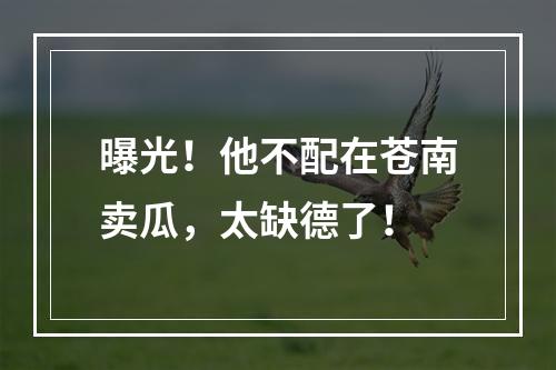 曝光！他不配在苍南卖瓜，太缺德了！