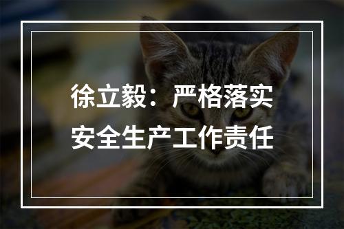 徐立毅：严格落实安全生产工作责任