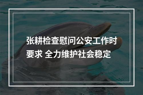 张耕检查慰问公安工作时要求 全力维护社会稳定