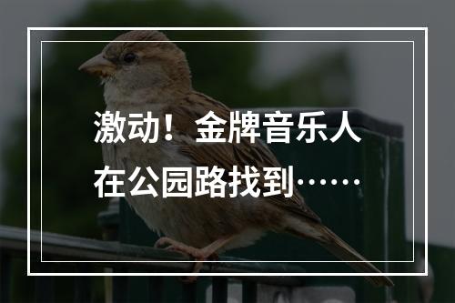激动！金牌音乐人在公园路找到……