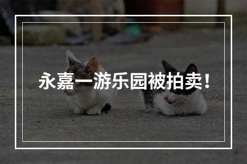 永嘉一游乐园被拍卖！