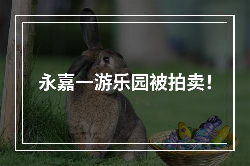 永嘉一游乐园被拍卖！