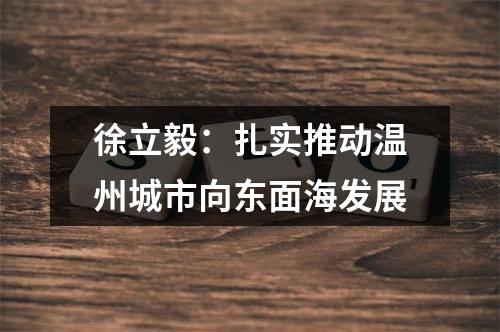 徐立毅：扎实推动温州城市向东面海发展