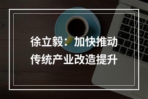徐立毅：加快推动传统产业改造提升