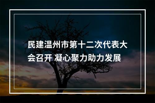 民建温州市第十二次代表大会召开 凝心聚力助力发展