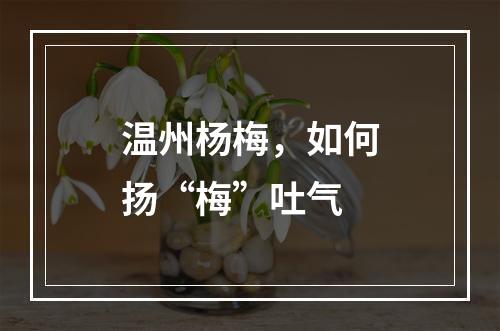 温州杨梅，如何扬“梅”吐气