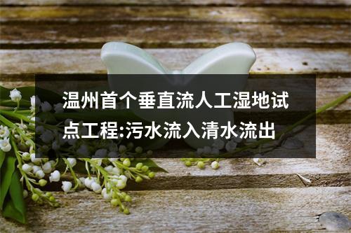 温州首个垂直流人工湿地试点工程:污水流入清水流出