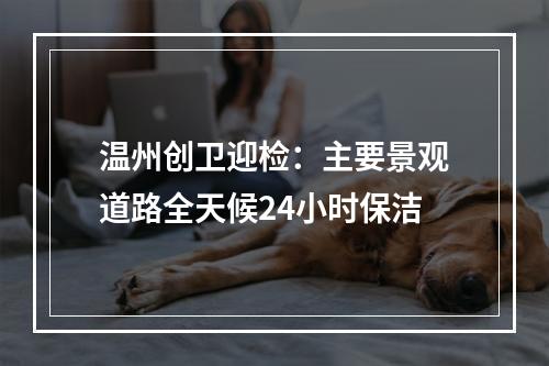 温州创卫迎检：主要景观道路全天候24小时保洁