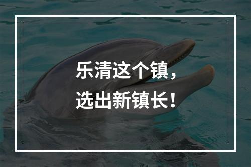 乐清这个镇，选出新镇长！