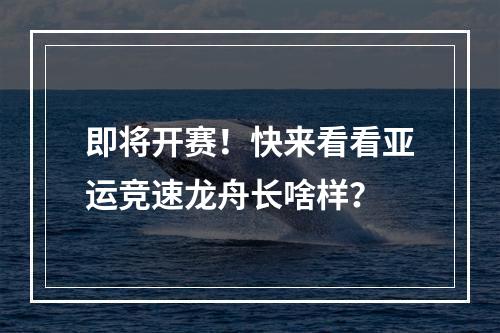 即将开赛！快来看看亚运竞速龙舟长啥样？