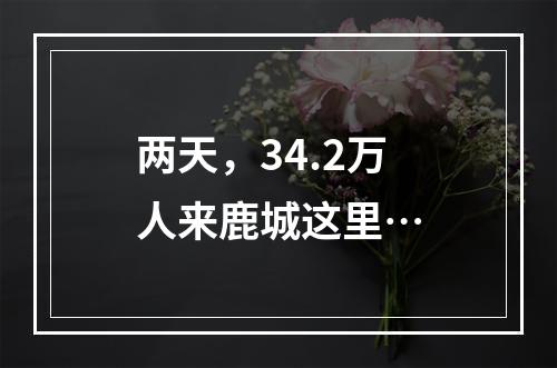 两天，34.2万人来鹿城这里…