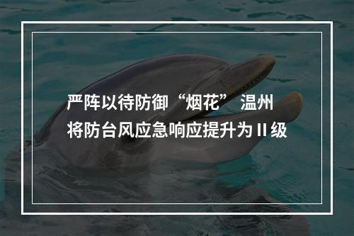 严阵以待防御“烟花” 温州将防台风应急响应提升为Ⅱ级