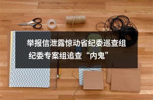举报信泄露惊动省纪委巡查组 纪委专案组追查“内鬼”