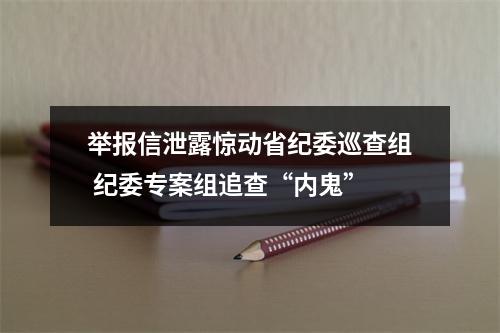 举报信泄露惊动省纪委巡查组 纪委专案组追查“内鬼”