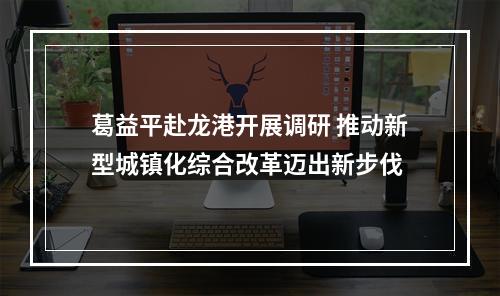 葛益平赴龙港开展调研 推动新型城镇化综合改革迈出新步伐