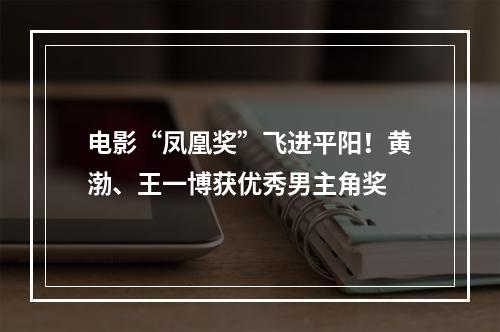 电影“凤凰奖”飞进平阳！黄渤、王一博获优秀男主角奖