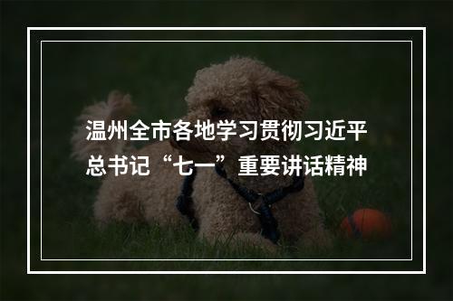 温州全市各地学习贯彻习近平总书记“七一”重要讲话精神