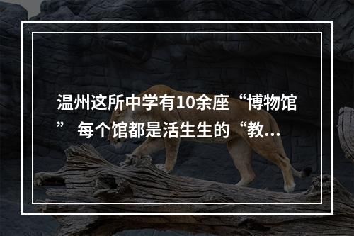 温州这所中学有10余座“博物馆” 每个馆都是活生生的“教科书”