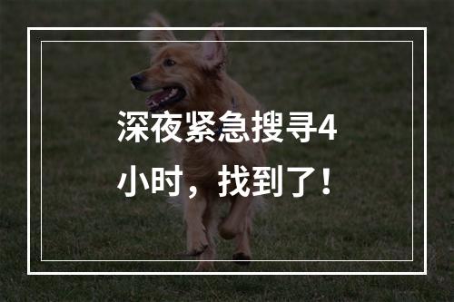 深夜紧急搜寻4小时，找到了！