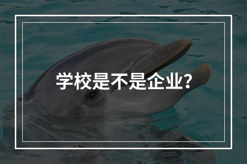 学校是不是企业？