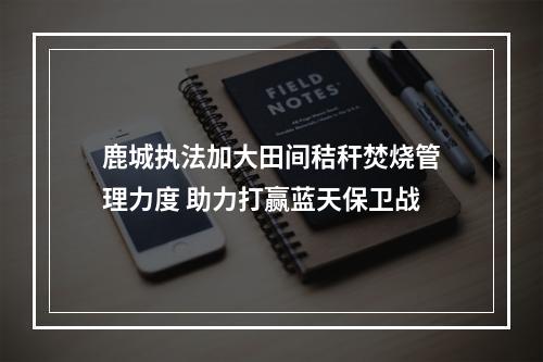 鹿城执法加大田间秸秆焚烧管理力度 助力打赢蓝天保卫战