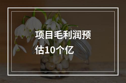 项目毛利润预估10个亿