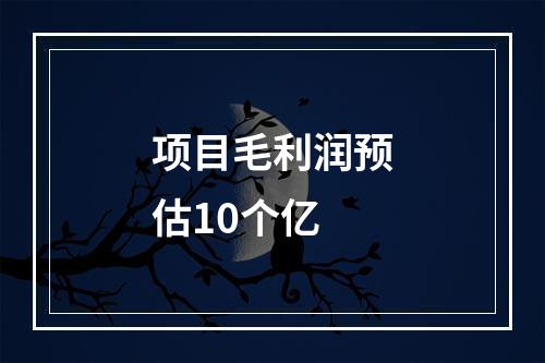 项目毛利润预估10个亿