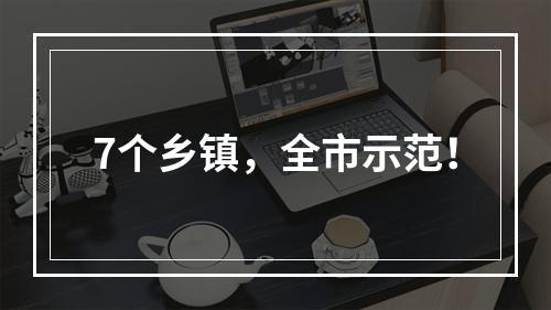 7个乡镇，全市示范！
