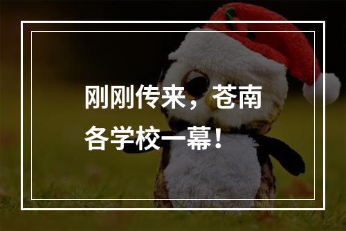 刚刚传来，苍南各学校一幕！